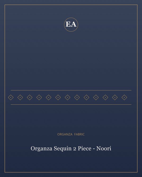 Organza Sequin 2 Piece - Noori